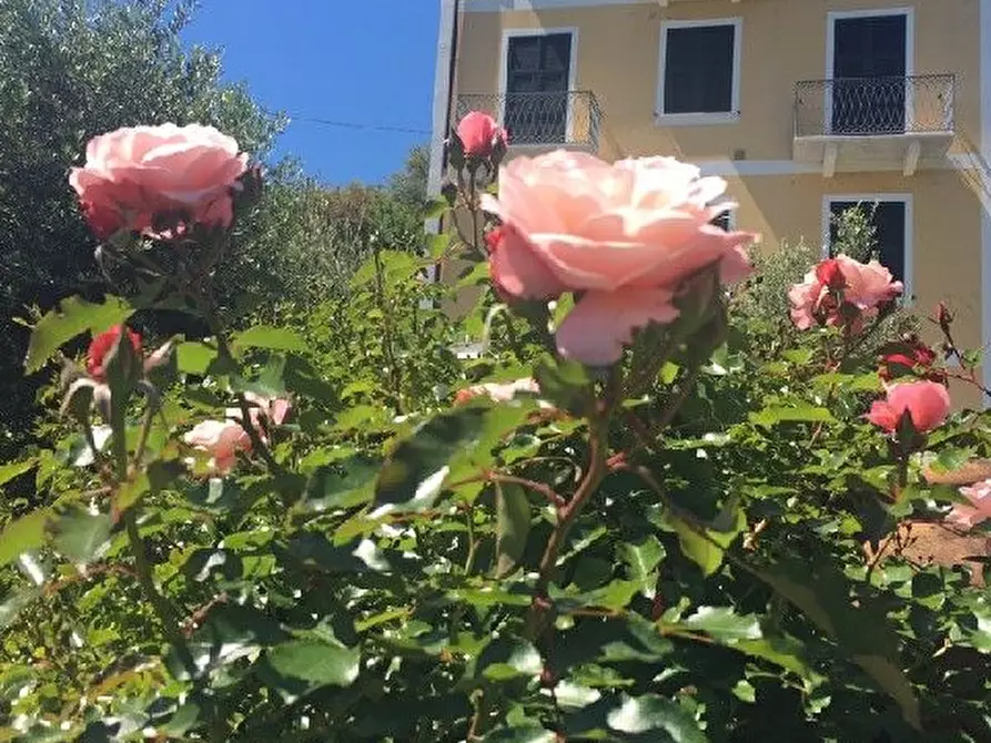 Immagine 2 di Appartamento in vendita  a Vernazza