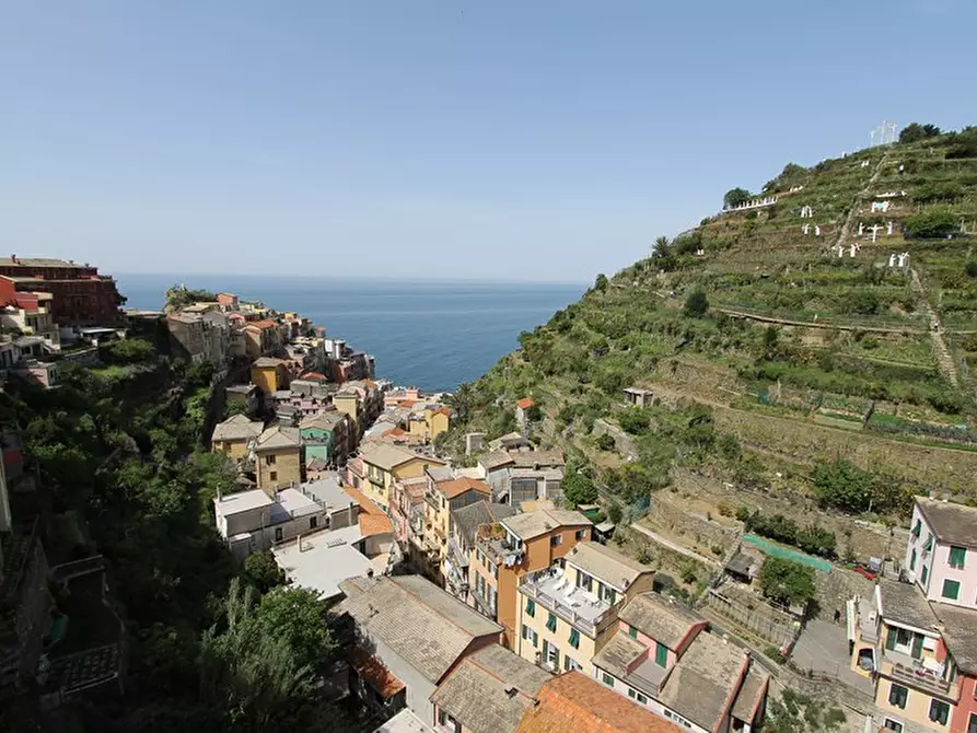 Immagine 9 di Appartamento in vendita  a Riomaggiore