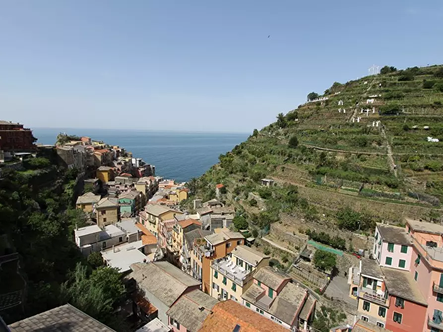 Immagine 4 di Appartamento in vendita  a Riomaggiore