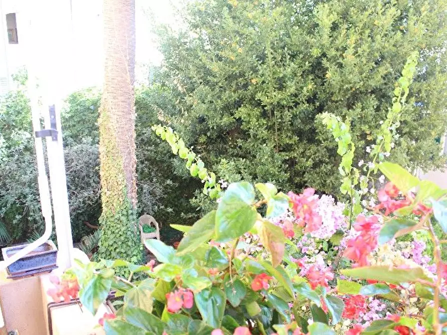 Immagine 3 di Appartamento in vendita  a La Spezia