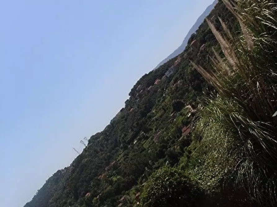 Immagine 30 di Casa semindipendente in vendita  a Arcola