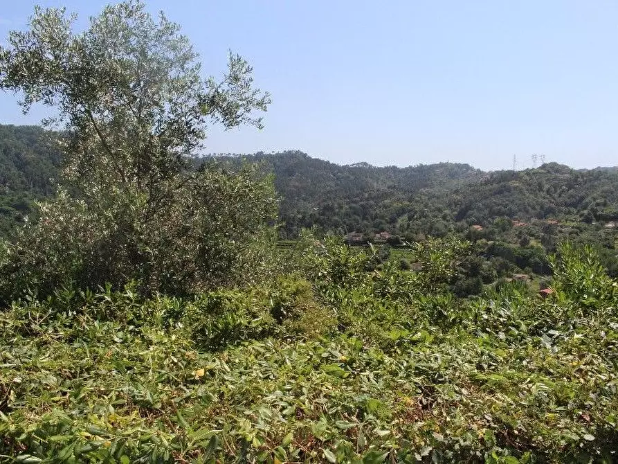 Immagine 24 di Casa semindipendente in vendita  a Arcola