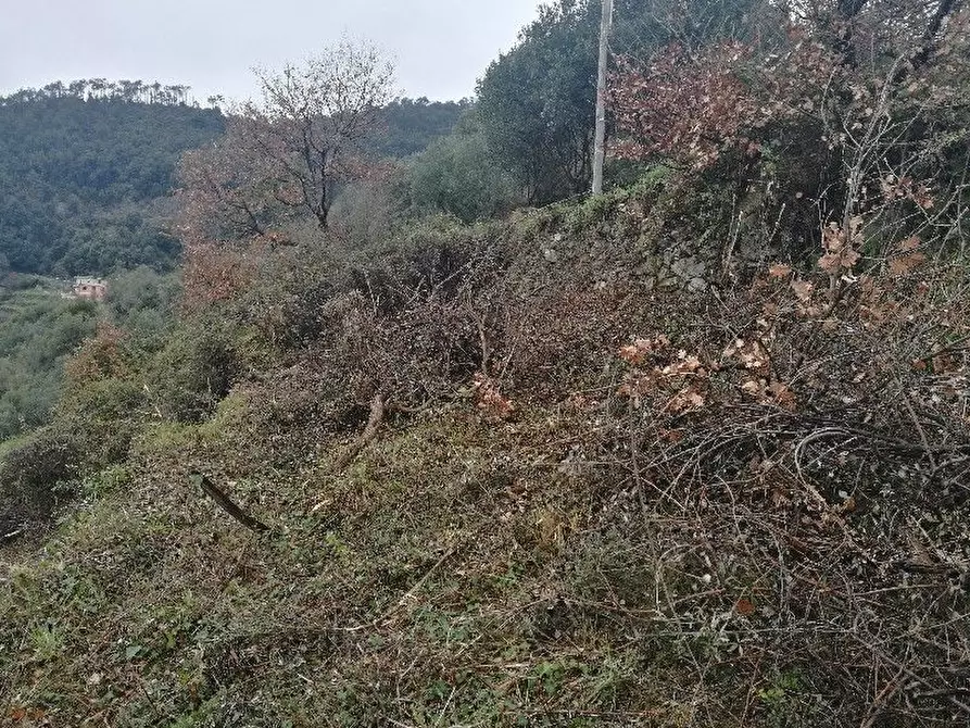 Immagine 22 di Rustico / casale in vendita  a Vernazza