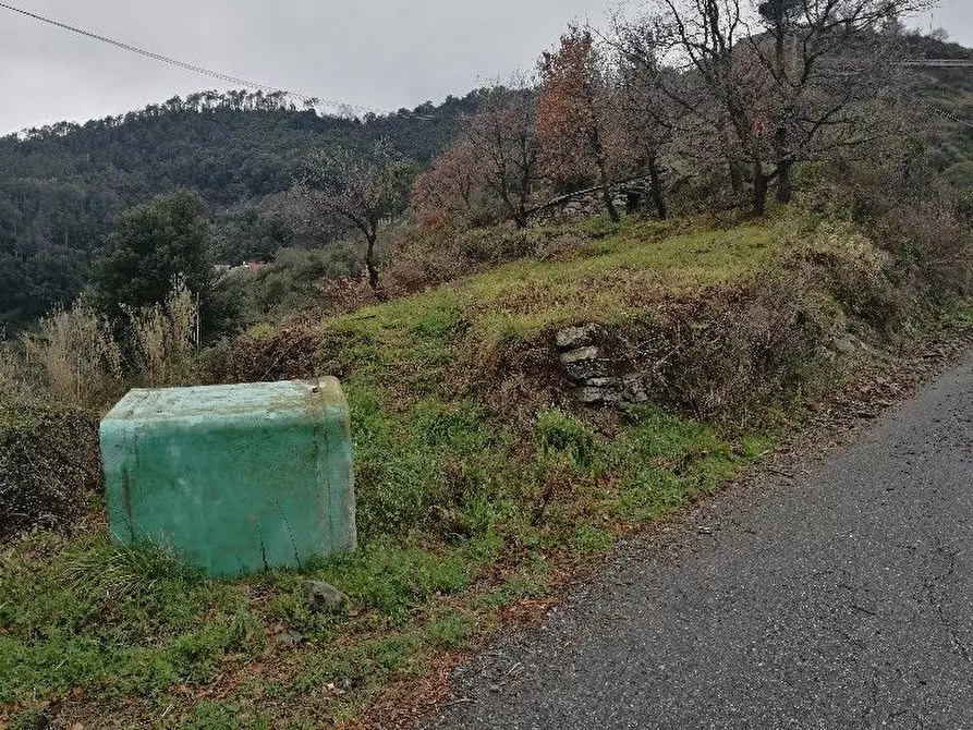 Immagine 13 di Rustico / casale in vendita  a Vernazza