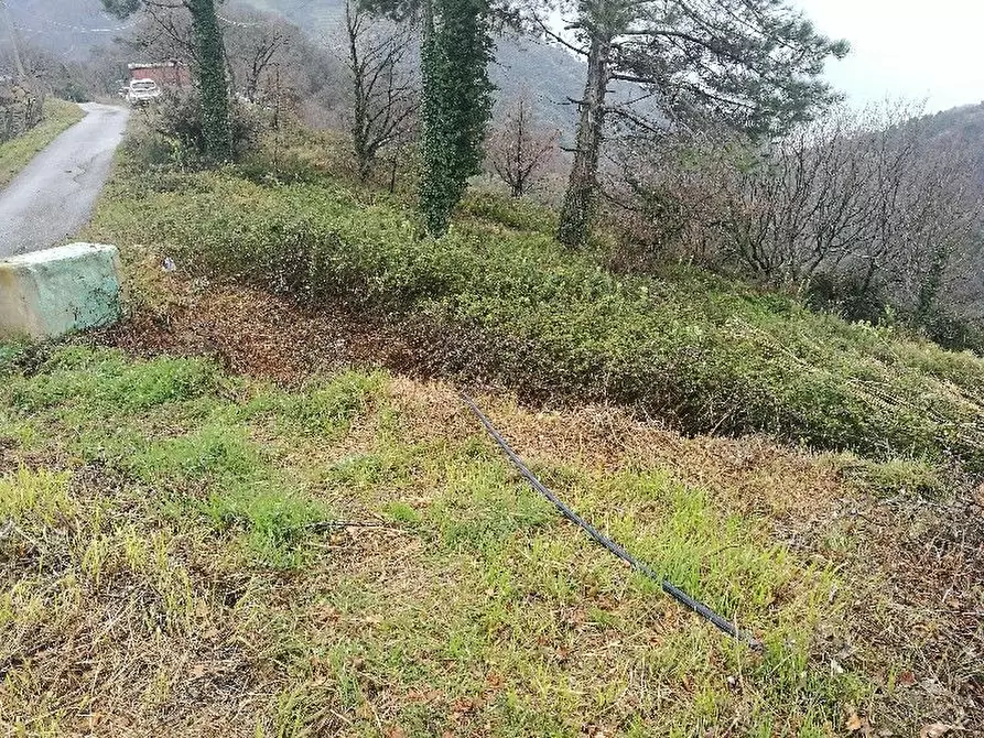Immagine 12 di Rustico / casale in vendita  a Vernazza