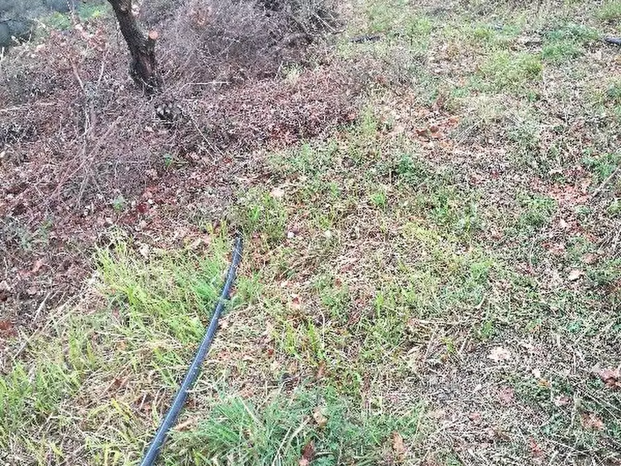 Immagine 21 di Rustico / casale in vendita  a Vernazza