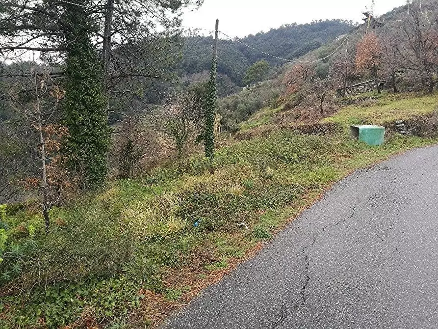 Immagine 9 di Rustico / casale in vendita  a Vernazza