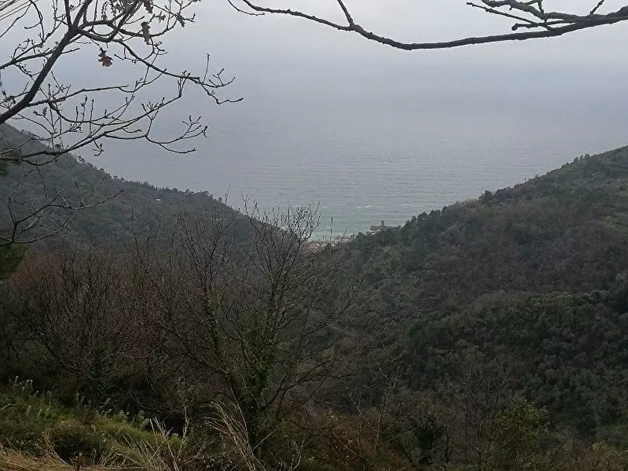 Immagine 15 di Rustico / casale in vendita  a Vernazza