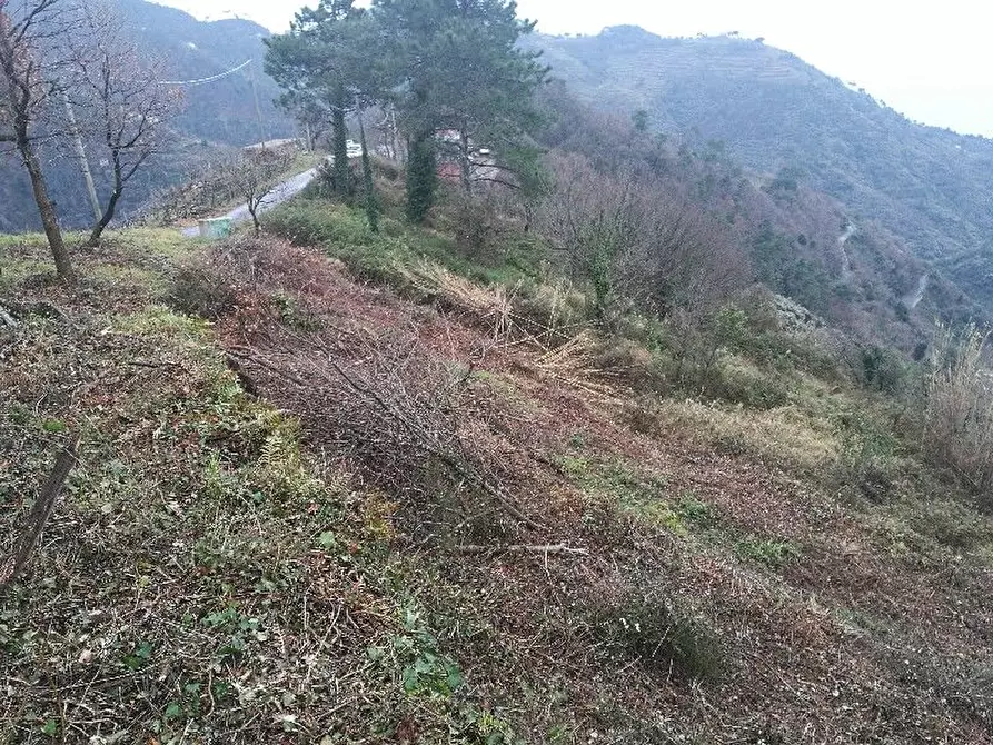 Immagine 18 di Rustico / casale in vendita  a Vernazza