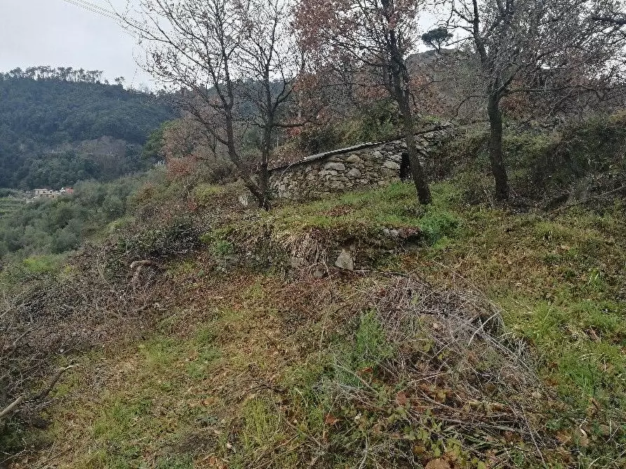 Immagine 4 di Rustico / casale in vendita  a Vernazza