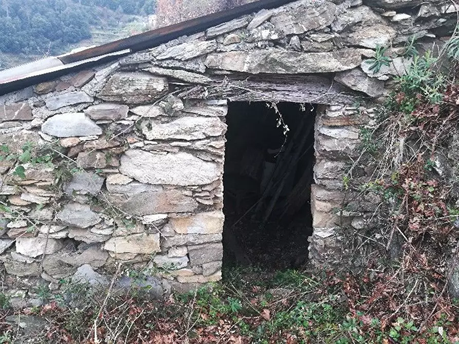 Immagine 2 di Rustico / casale in vendita  a Vernazza