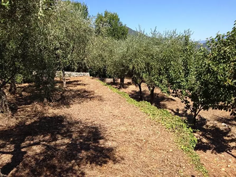 Immagine 12 di Casa indipendente in vendita  a La Spezia