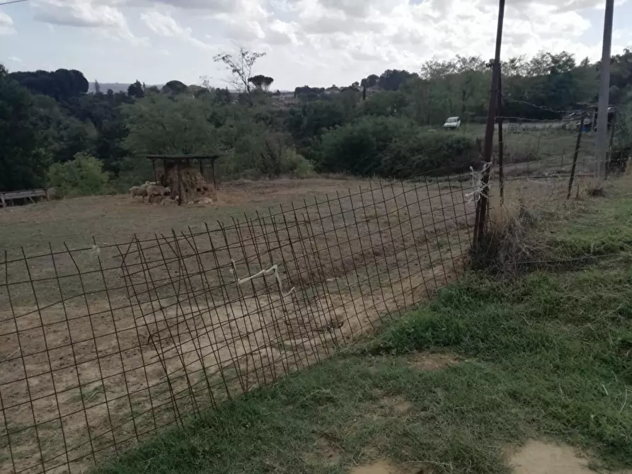 Immagine 2 di Terreno residenziale in vendita  a Santa Maria A Monte