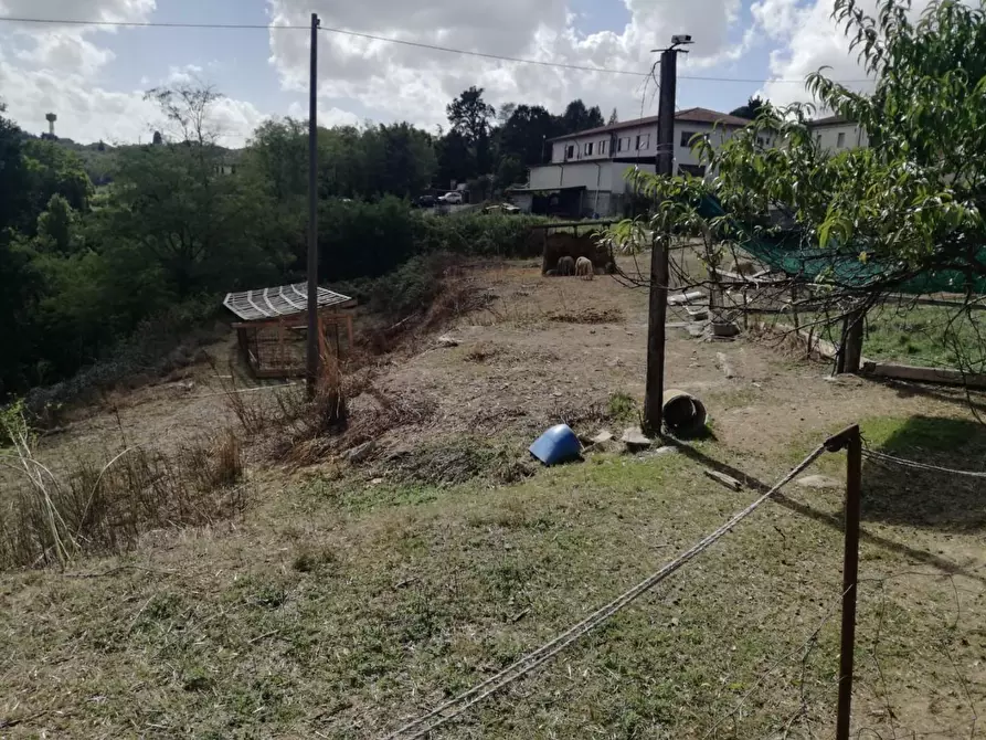 Immagine 4 di Terreno residenziale in vendita  a Santa Maria A Monte