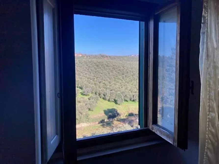 Immagine 12 di Terratetto in vendita  a Vinci