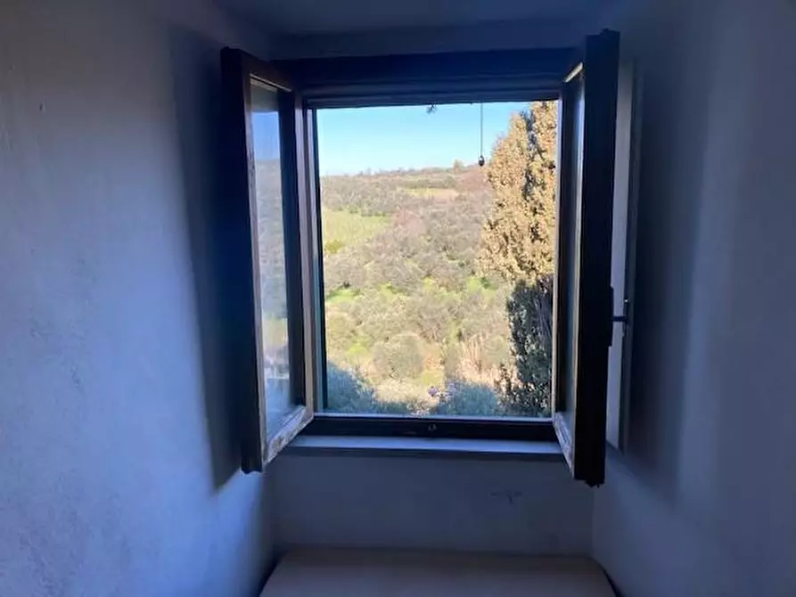 Immagine 4 di Terratetto in vendita  a Vinci