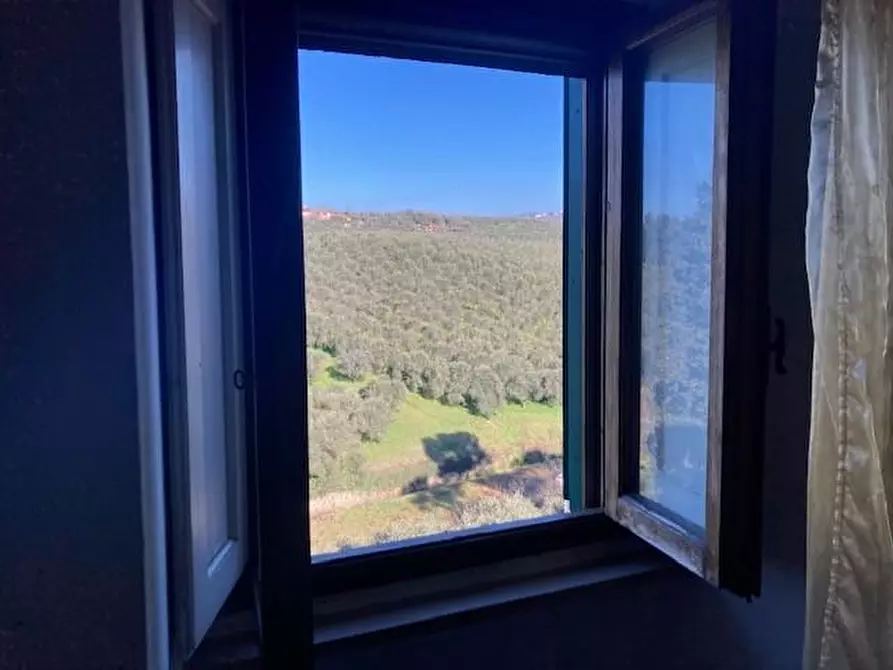 Immagine 11 di Terratetto in vendita  a Vinci