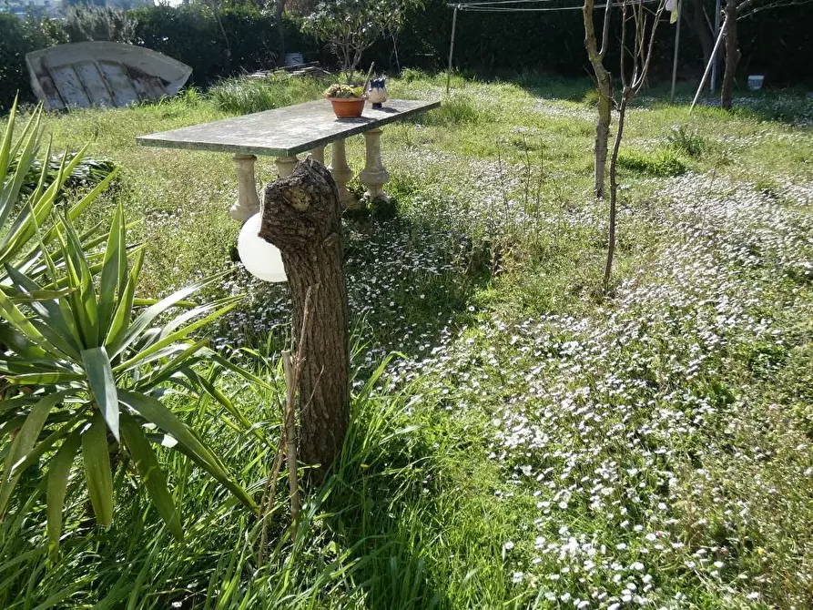 Immagine 1 di Casa bifamiliare in vendita  a Rosignano Marittimo