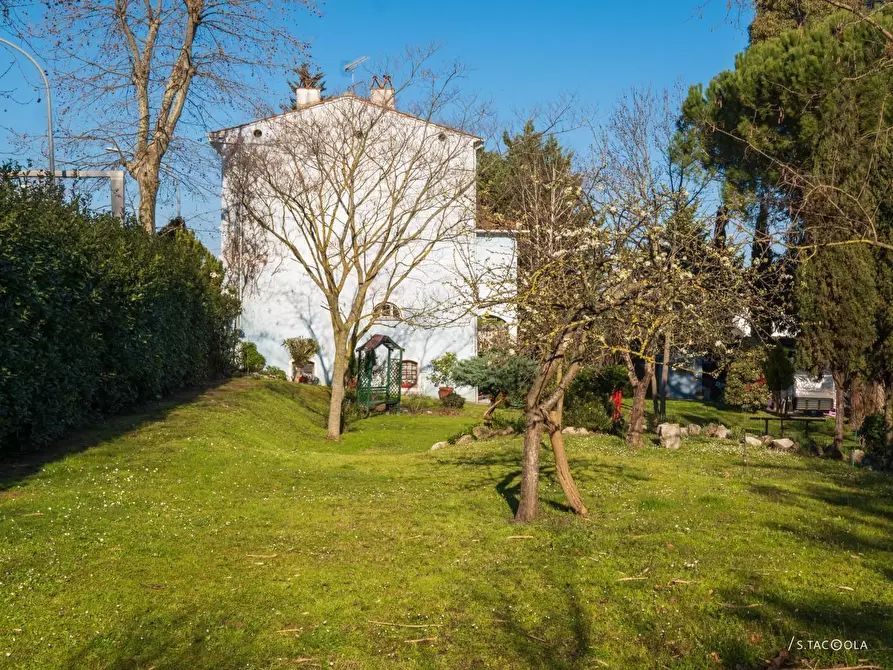 Immagine 77 di Villa in vendita  a Vecchiano