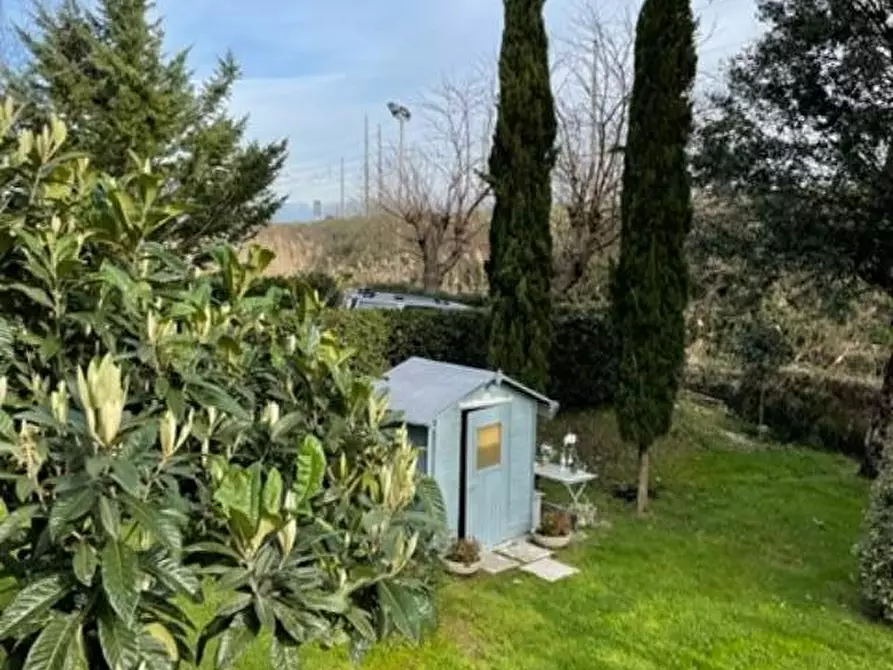 Immagine 61 di Villa in vendita  a Vecchiano