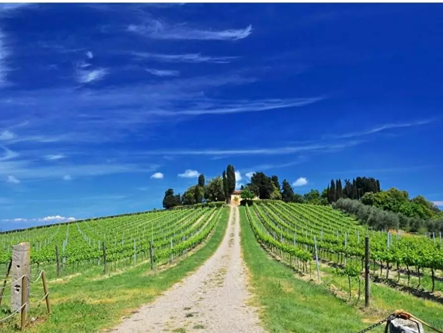 Immagine 1 di Terreno agricolo in vendita  a Peccioli