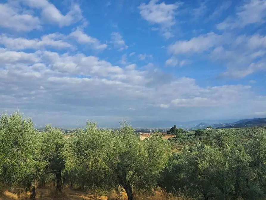 Immagine 23 di Casa colonica in vendita  a Lamporecchio