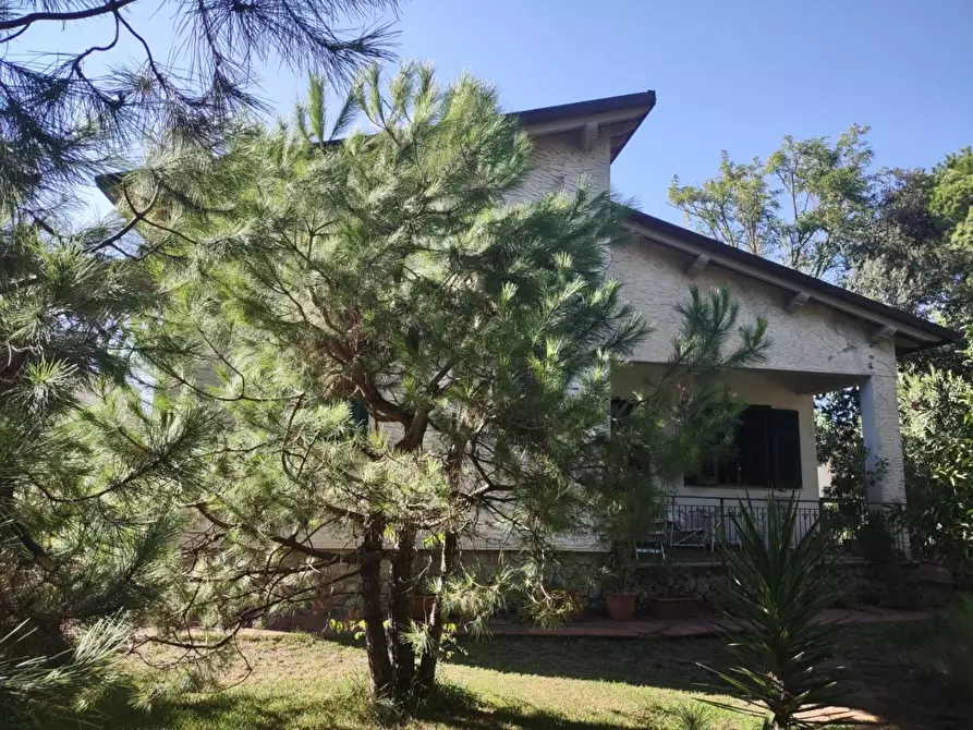 Immagine 5 di Casa indipendente in vendita  a Massa