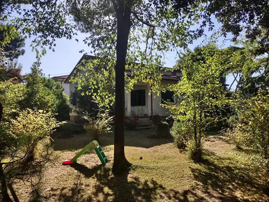 Immagine 7 di Casa indipendente in vendita  a Massa
