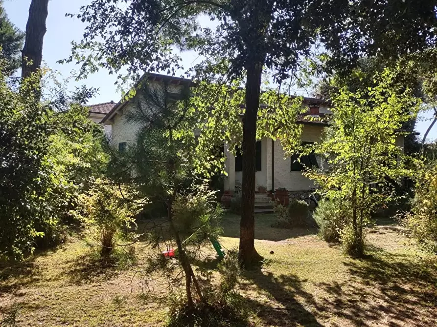 Immagine 6 di Casa indipendente in vendita  a Massa