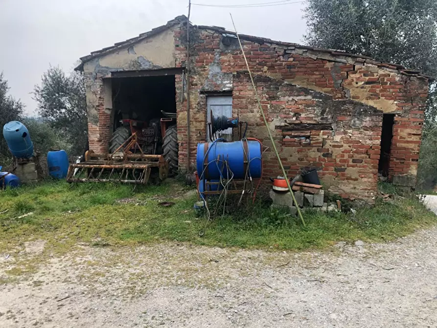 Immagine 4 di Rustico / casale in vendita  a Fucecchio