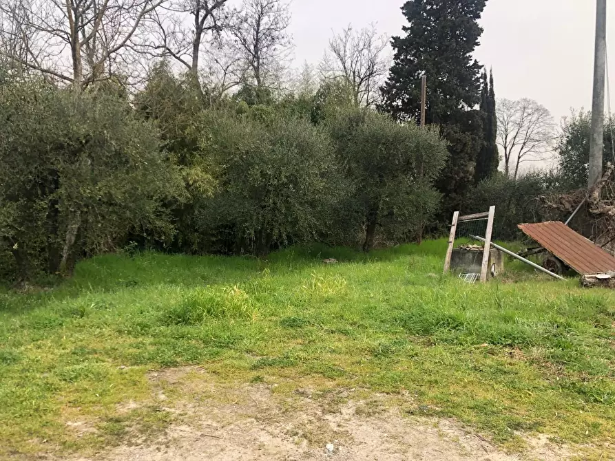 Immagine 6 di Rustico / casale in vendita  a Fucecchio