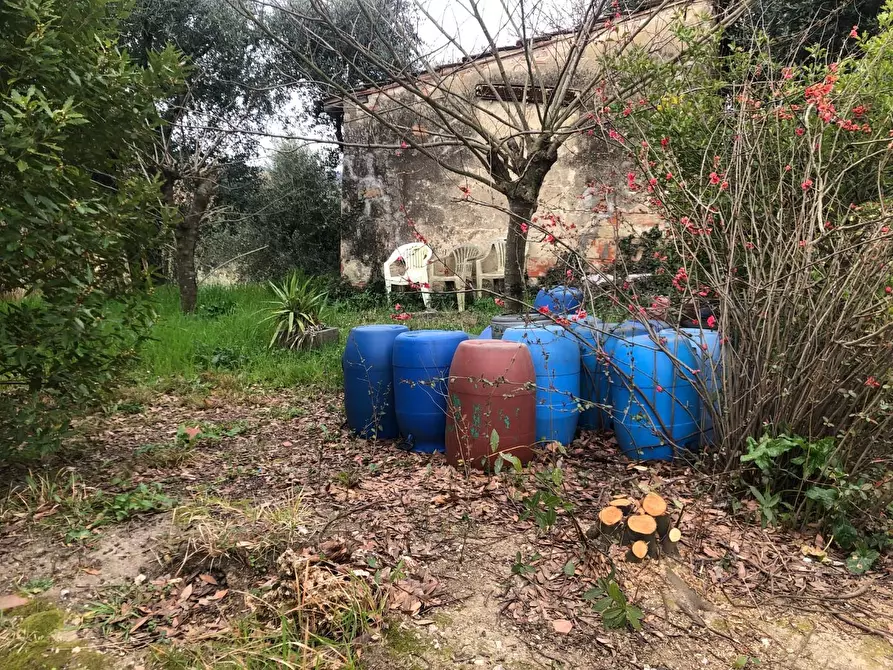 Immagine 3 di Rustico / casale in vendita  a Fucecchio