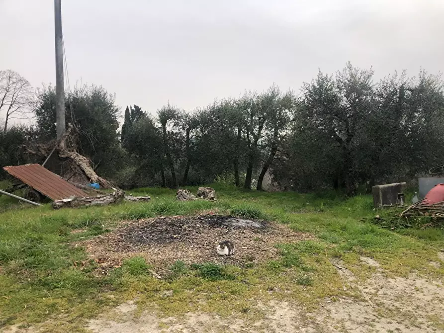 Immagine 5 di Rustico / casale in vendita  a Fucecchio