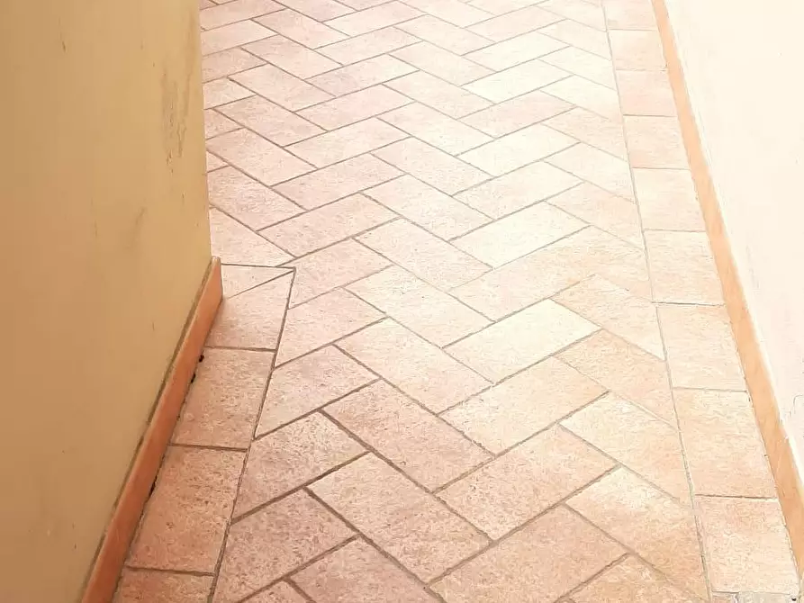 Immagine 6 di Appartamento in vendita  a Casale Marittimo