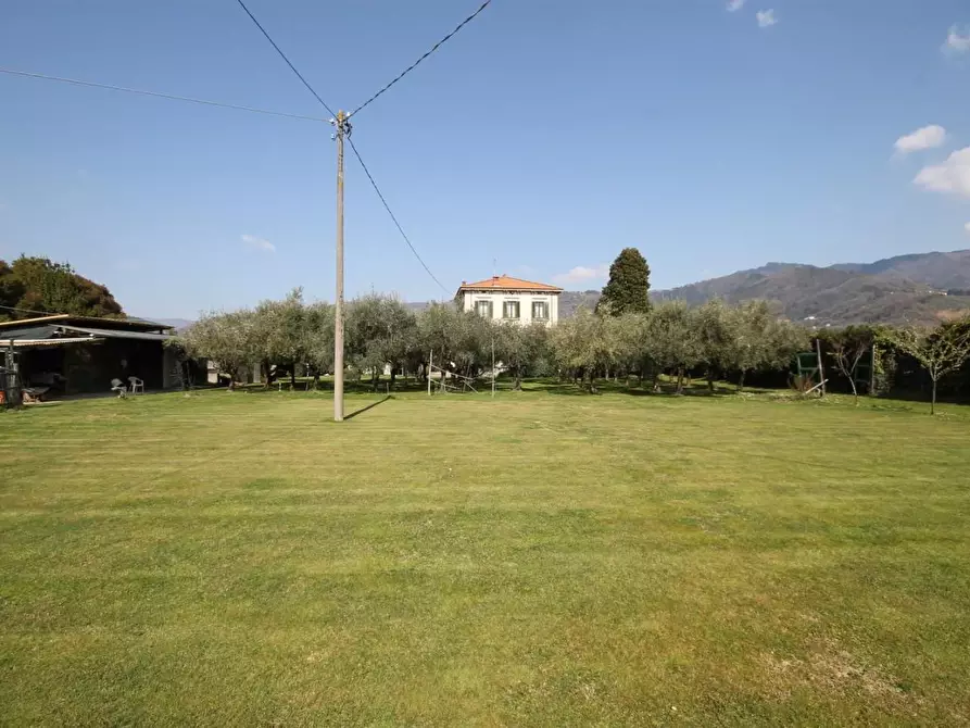 Immagine 6 di Villa in vendita  a Capannori