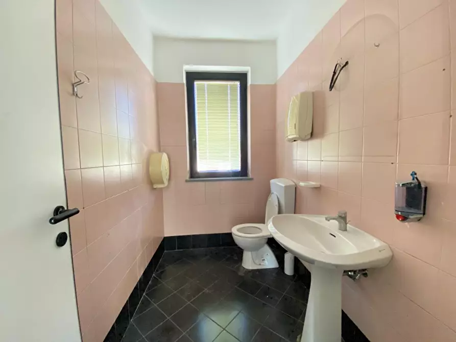 Immagine 9 di Ufficio in affitto  a Lucca