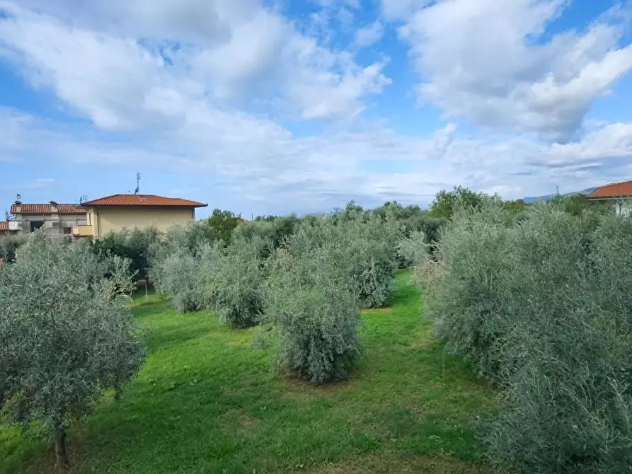 Immagine 2 di Villa in vendita  a Montignoso