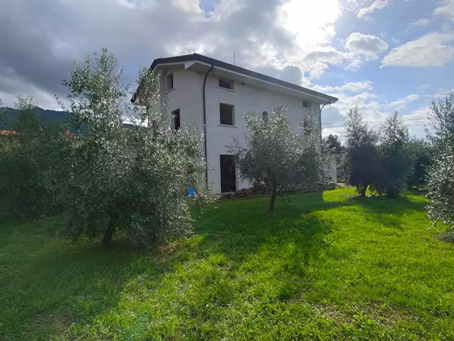Immagine 3 di Villa in vendita  a Montignoso