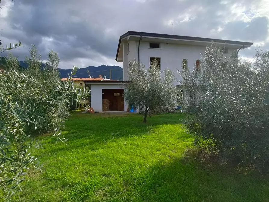 Immagine 4 di Villa in vendita  a Montignoso