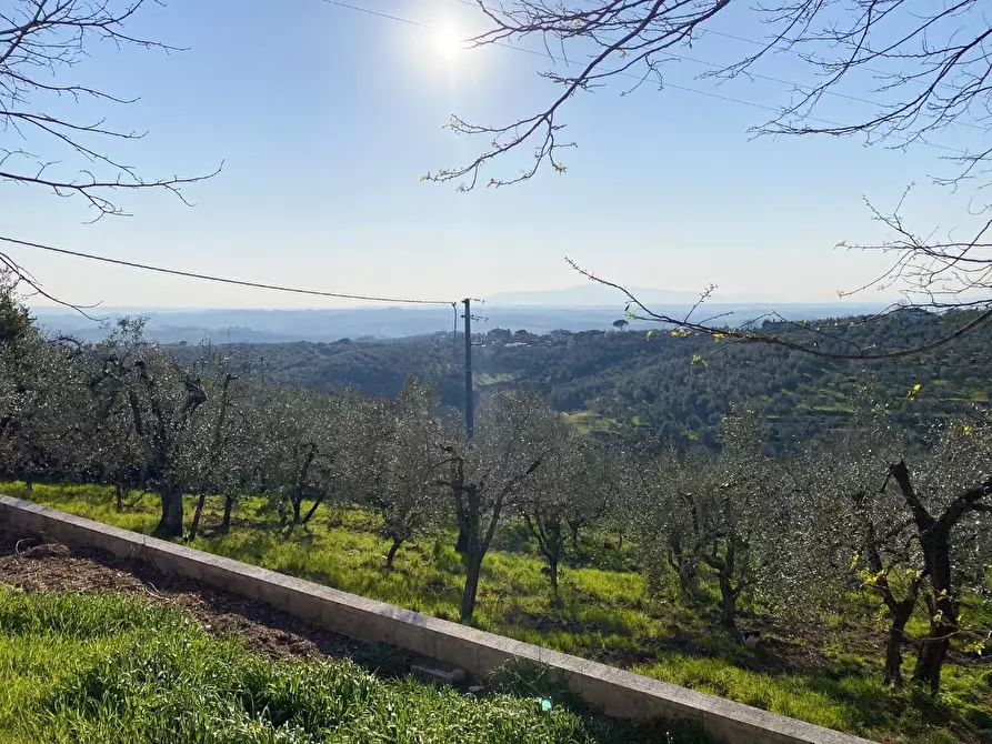 Immagine 26 di Villa in vendita  a Vinci