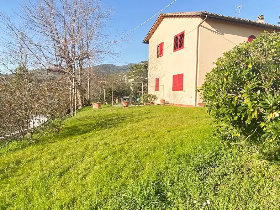 Immagine 4 di Villa in vendita  a Vinci