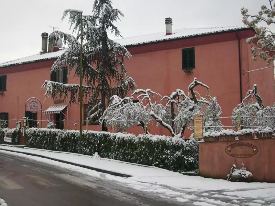 Immagine 2 di Rustico / casale in vendita  a Crespina Lorenzana