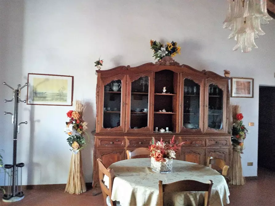 Immagine 29 di Rustico / casale in vendita  a Crespina Lorenzana