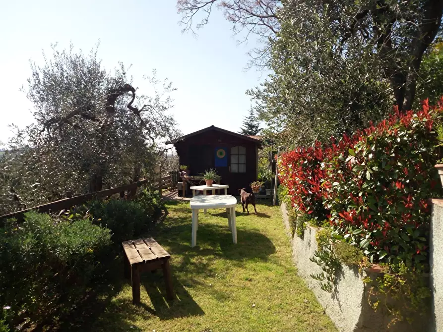 Immagine 21 di Rustico / casale in vendita  a Crespina Lorenzana