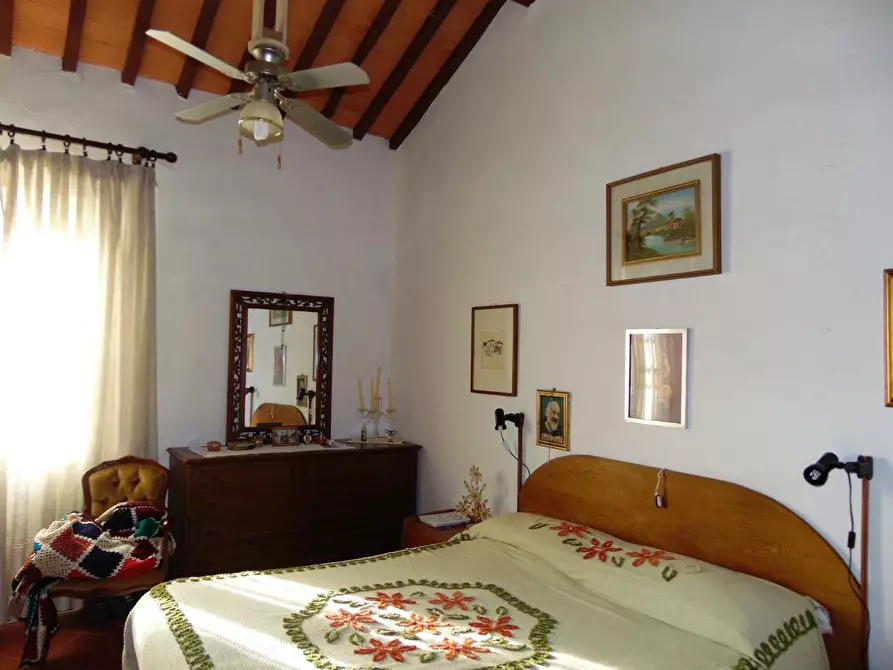 Immagine 8 di Rustico / casale in vendita  a Crespina Lorenzana