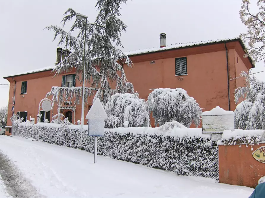 Immagine 17 di Rustico / casale in vendita  a Crespina Lorenzana