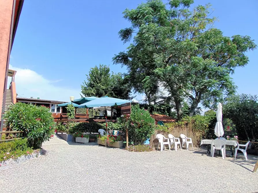 Immagine 6 di Rustico / casale in vendita  a Crespina Lorenzana