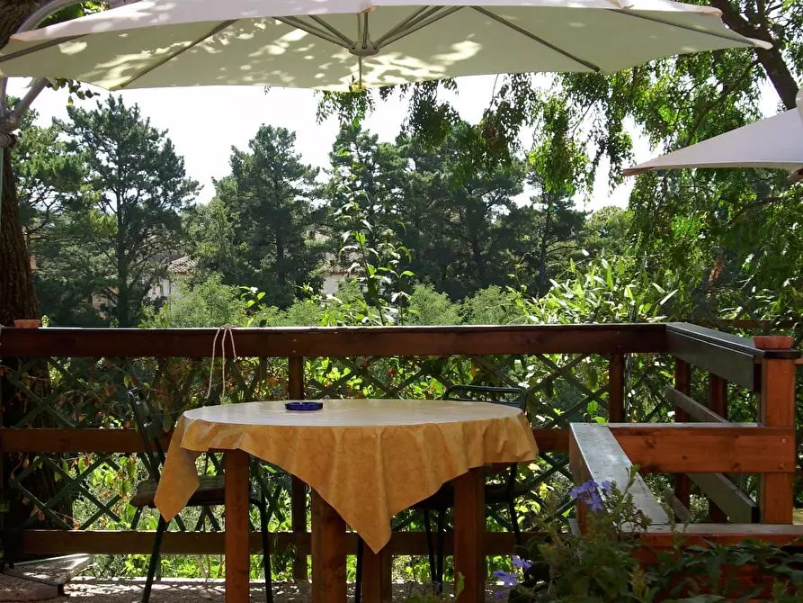 Immagine 19 di Rustico / casale in vendita  a Crespina Lorenzana