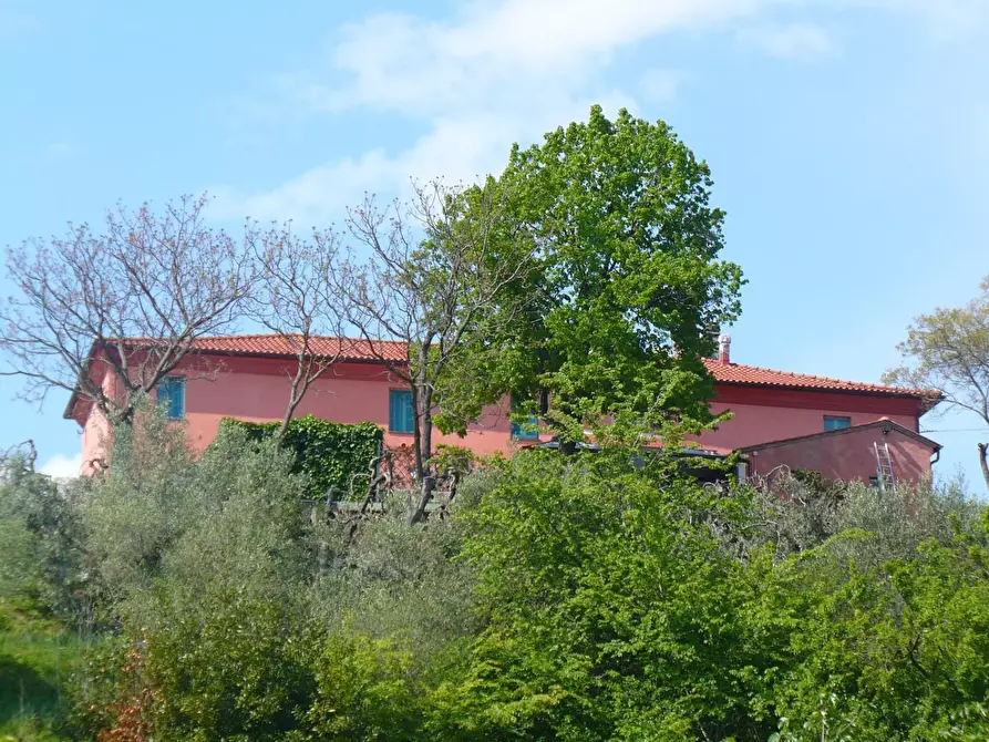 Immagine 10 di Rustico / casale in vendita  a Crespina Lorenzana