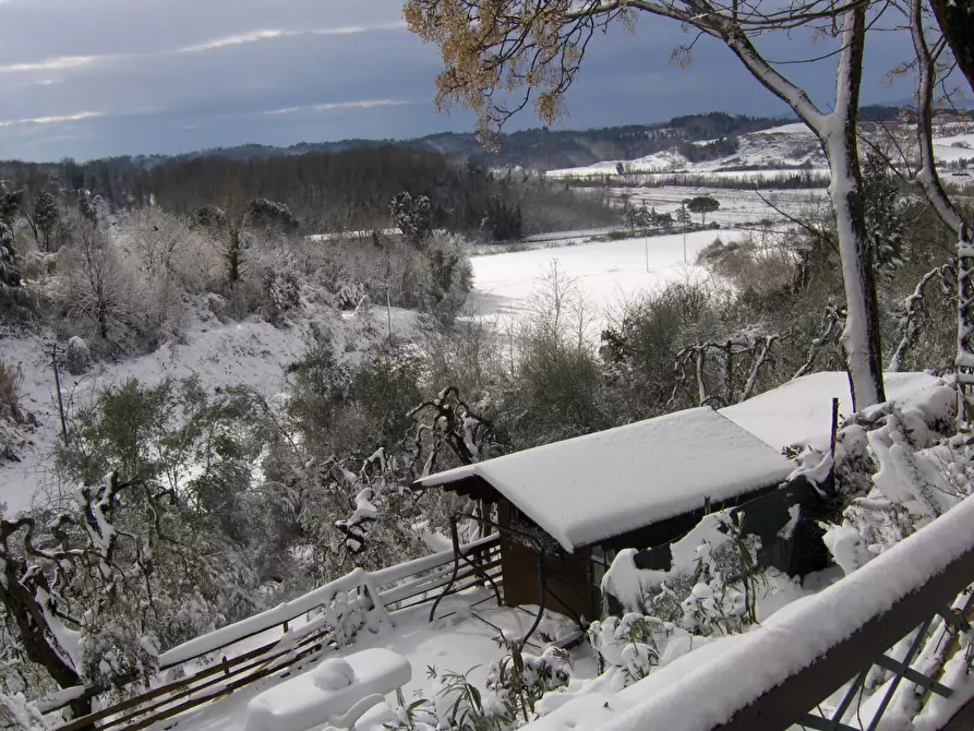 Immagine 16 di Rustico / casale in vendita  a Crespina Lorenzana